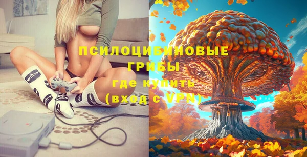 кокаин премиум Инсар
