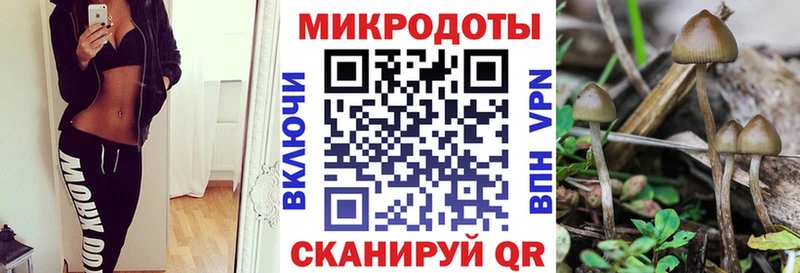 Галлюциногенные грибы Psilocybine cubensis  Купить  Белокуриха 